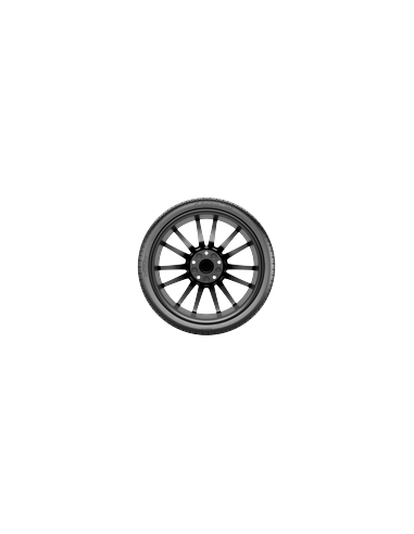 Pirelli P Zero MS 245/50R19XL