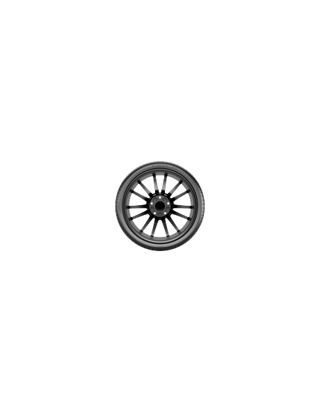 Pirelli P Zero MS 295/35R19XL